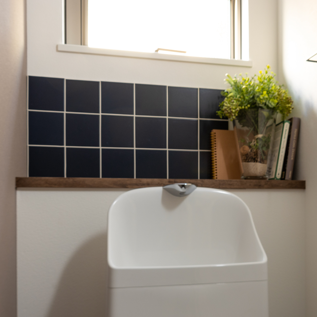 トランジット　TR-5　白目地