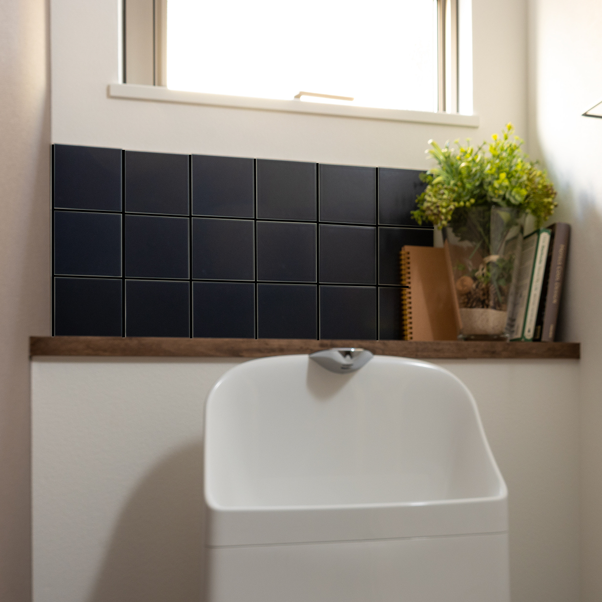 トランジット　TR-5　黒目地